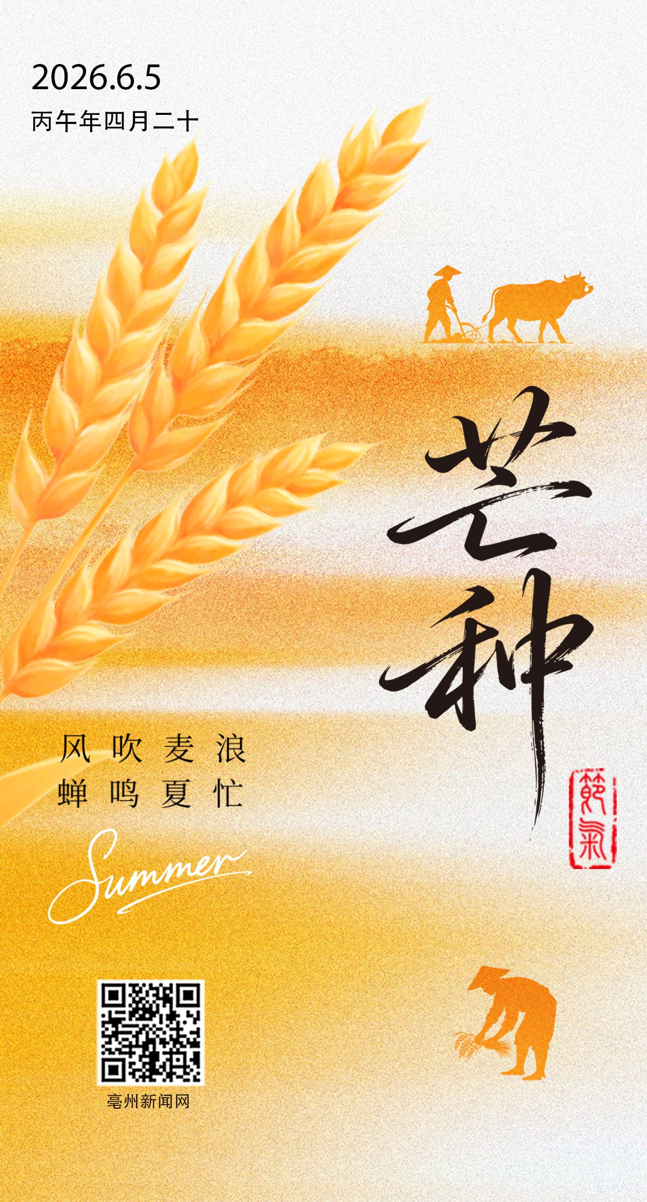 今日芒种