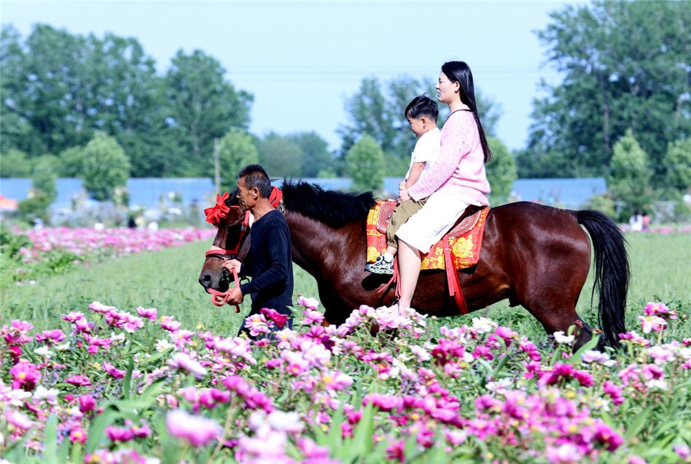 花海骑行 乐享假日